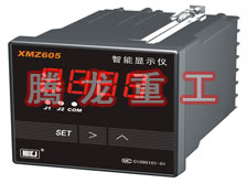 溫度表、數(shù)字顯示儀、濕度表