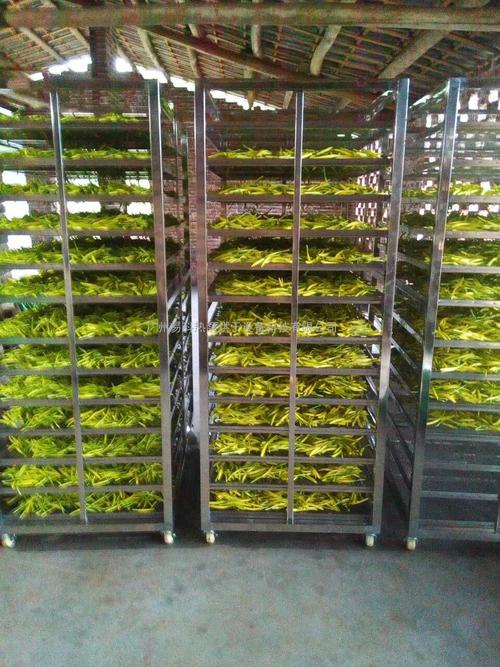 黃花菜烘干機、黃花菜烘干設(shè)備、黃花菜干燥機、黃花菜干燥設(shè)備、